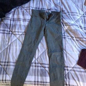 Hollister pants